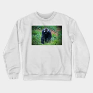 Gorilla On The Prowl Crewneck Sweatshirt